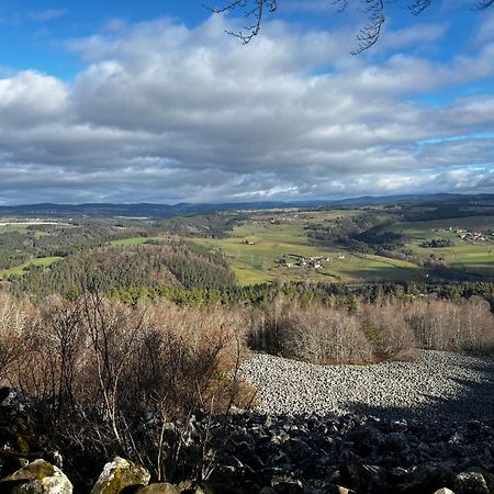 Les Roulottes De La Ferme Des Chanaux Saint-Julien-d'Ance Exteriör bild
